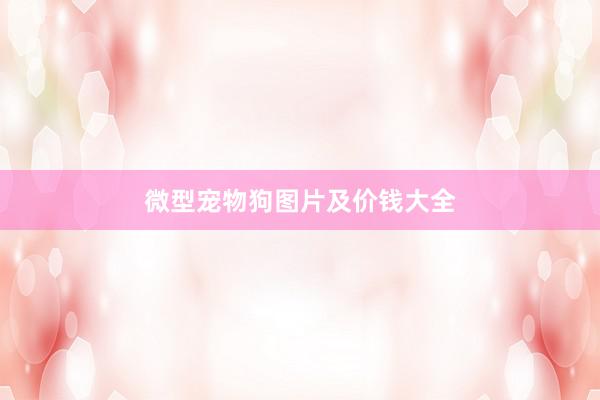 微型宠物狗图片及价钱大全