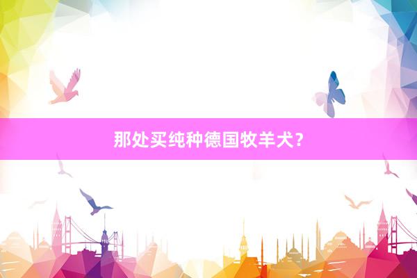 那处买纯种德国牧羊犬？